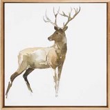 Tableau aquarelle d'un cerf